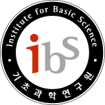 IBS Logo